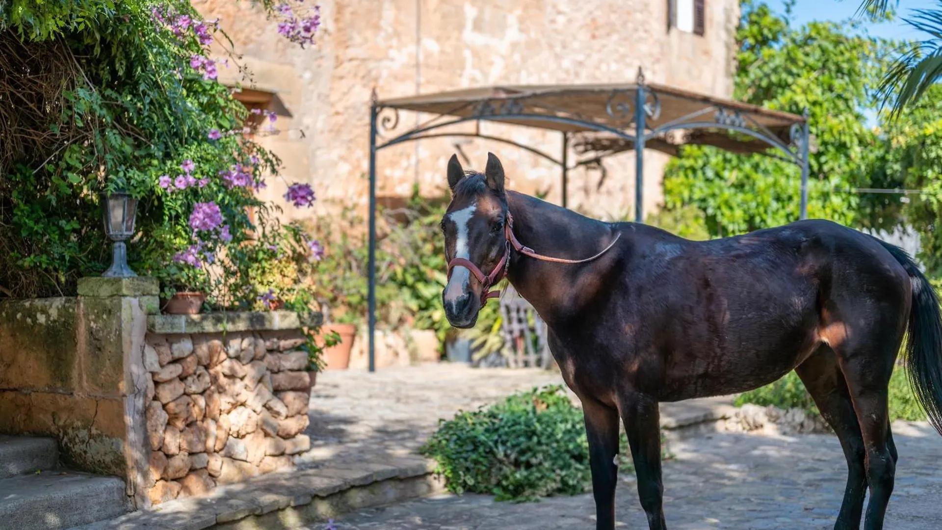 Country house Ses Estaques Guest House Manacor  Spain